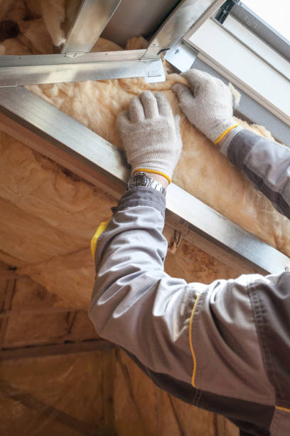 Best Insulation Maintenance and Repair in The College Of New Jersey, NJ